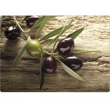 Austria product data sample: Küchenrückwand mySpotti pop Olivenzweig 590x410x2 mm