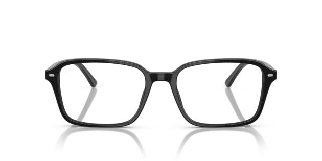 Germany product data sample: Ray-Ban 0RX5431 2000 Brille